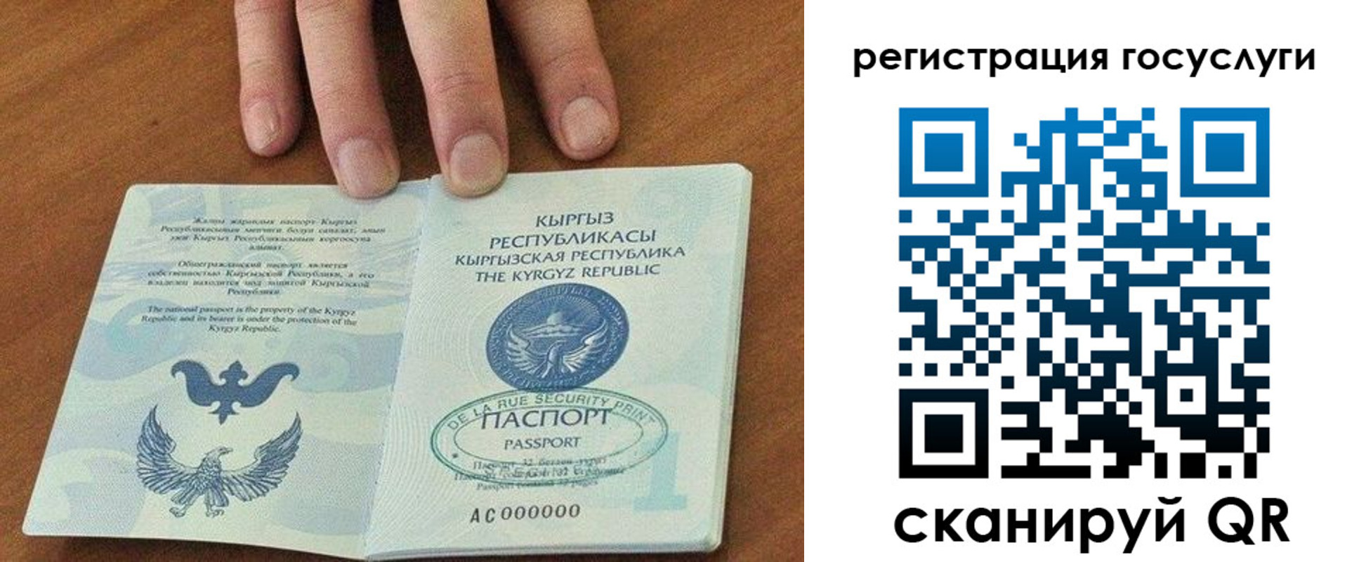 прописка ребенка в Асино